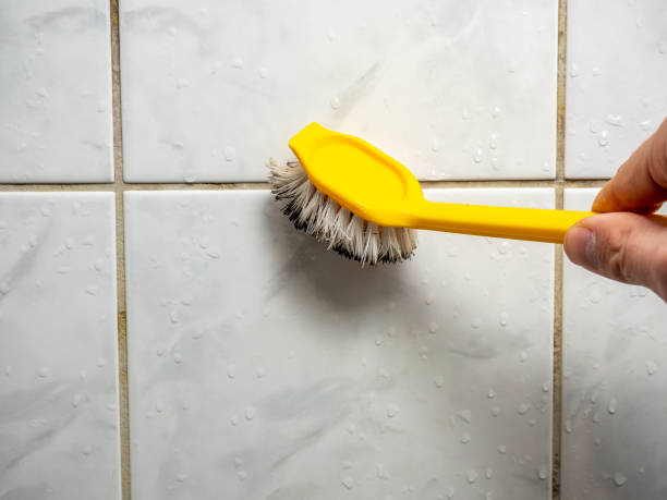 Best Mold Testing  in Norwich, CT