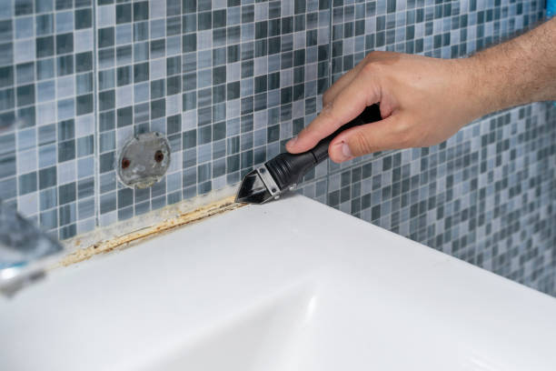  Norwich, CT Mold Removal Pros